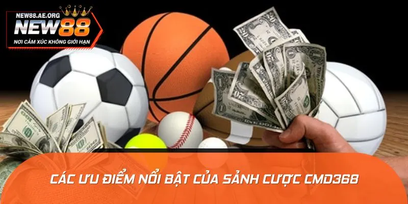 Các yếu tố làm nên tên tuổi của sảnh CMD368