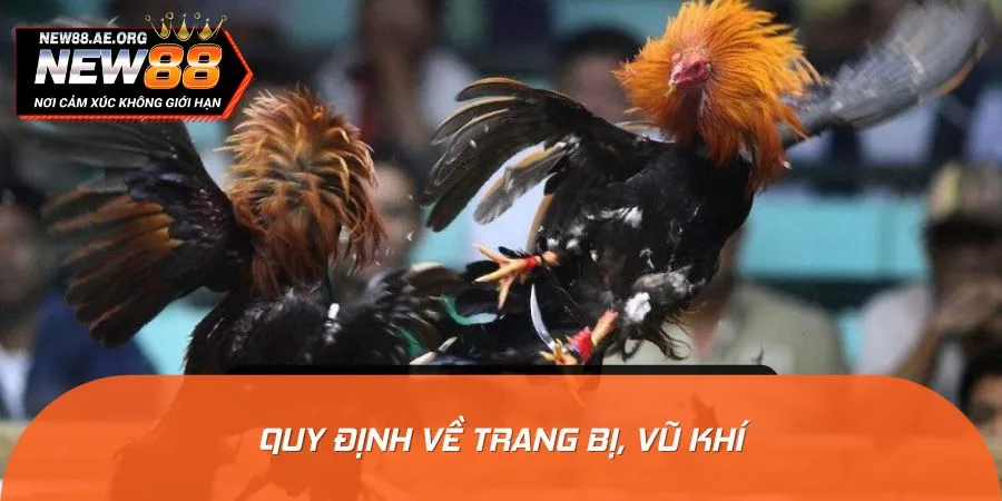 Sới gà quy định cụ thể về các trang bị và vũ khí