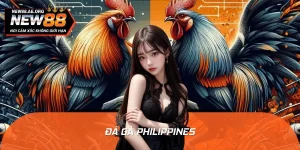Đá Gà Philippines: Huyền Thoại Của Làng Chiến Kê Đông Nam Á