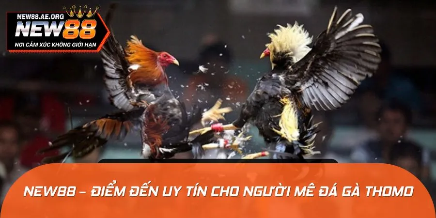 Tham gia đá gà trực tuyến tại nhà cái uy tín để đảm bảo an toàn tối đa