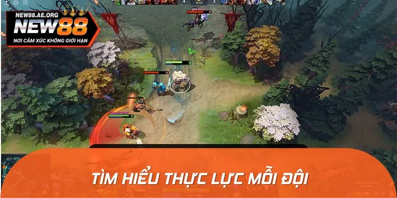 Bạn nên tìm hiểu kỹ về thực lực thi đấu của mỗi đội tuyển