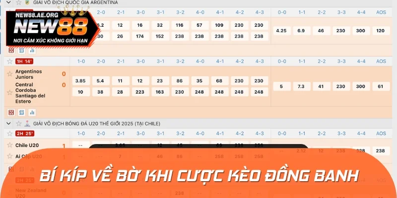 Kinh nghiệm về bờ do chuyên gia chia sẻ