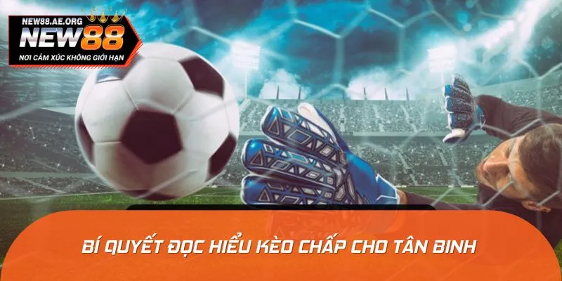 Hướng dẫn đọc kèo hiệu quả cho người bắt đầu