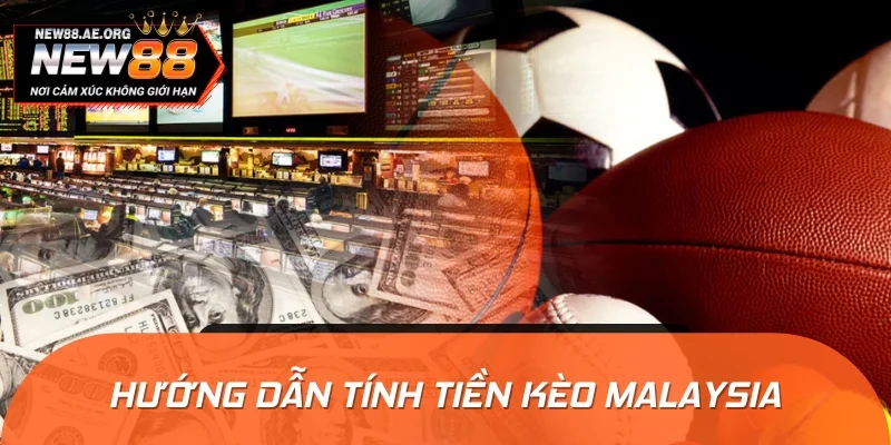 Hướng dẫn tính tiền lời lỗ theo âm dương