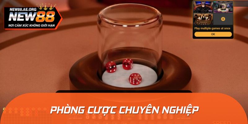 Phòng cược chuyên nghiệp là địa chỉ đáng để trải nghiệm