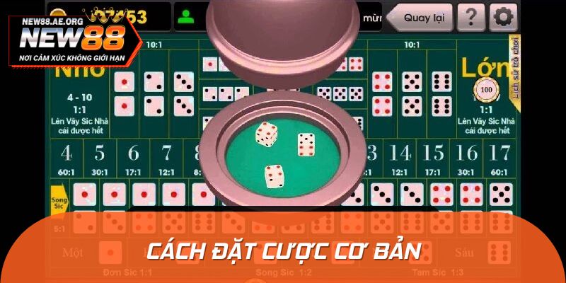 Tìm hiểu về cách đặt cược trong game