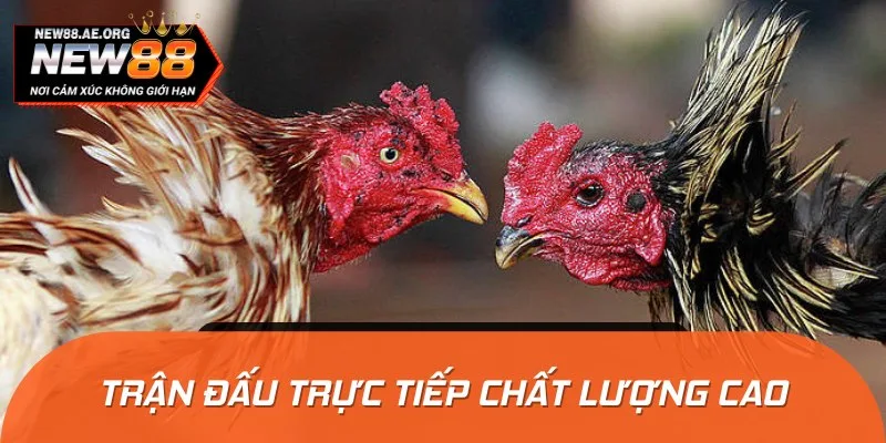 Các trận đấu tại Savan đều được phát sóng với chất lượng full HD