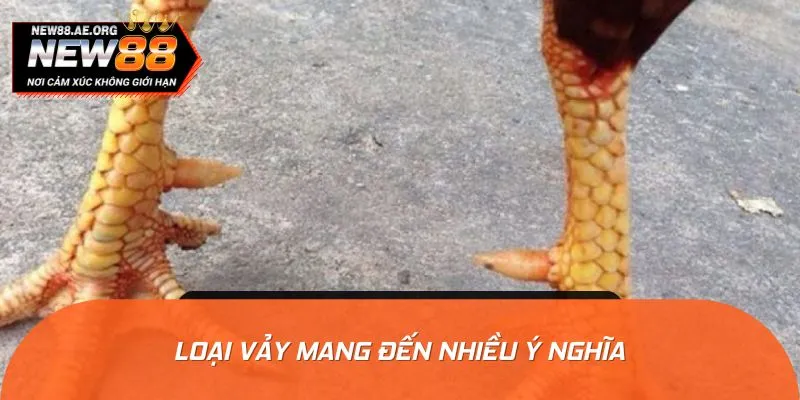 Loại vảy mang đến nhiều ý nghĩa