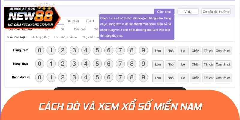 Cách dò XSMN chi tiết cho người mới